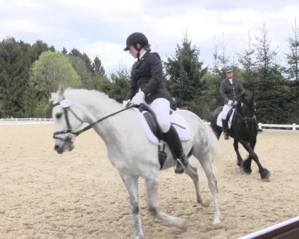 Dressur- und Springturnier Halver 2015