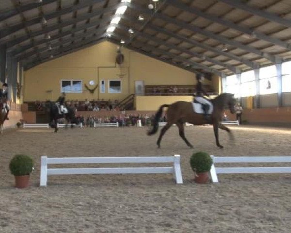 Frechen-Grefrath 2015