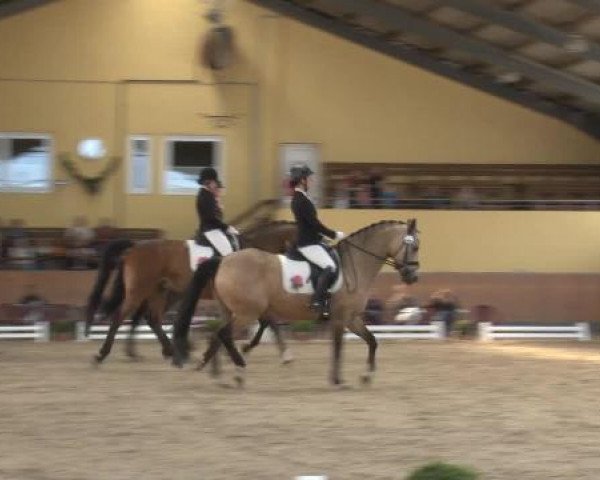 Frechen-Grefrath 2015