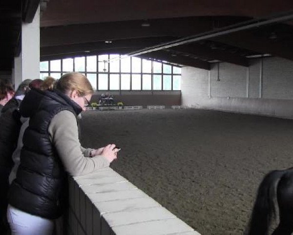 Reit - und Springturnier Hamm-Rhynern 2015