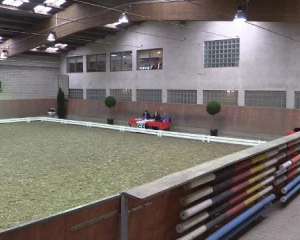 Hallenturnier Leverkusen-Rheindorf 2015