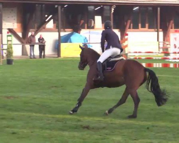 Großes Reit- und Springturnier Heiden 2015 24.04.2015
10 
