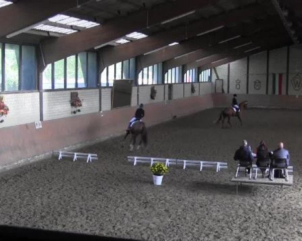Reit - und Springturnier Hamm-Rhynern 2015