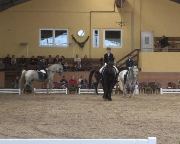 Frechen-Grefrath 2015