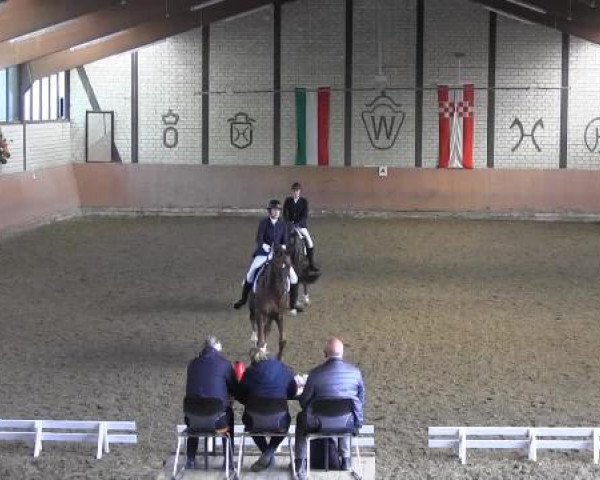 Reit - und Springturnier Hamm-Rhynern 2015