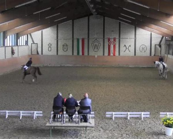 Reit - und Springturnier Hamm-Rhynern 2015