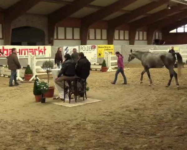 2. NRW Freispringchampionat-Finale Uedem Keppeln
19.04.2015
4-jährige Springpferde