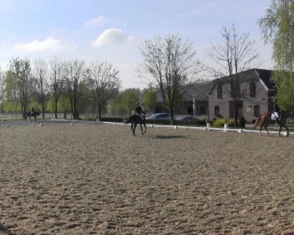 Greven Bockholt 2015