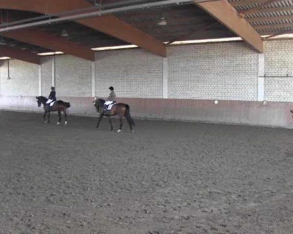 Reit - und Springturnier Hamm-Rhynern 2015