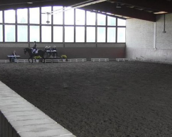 Reit - und Springturnier Hamm-Rhynern 2015
