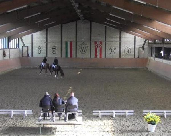 Reit - und Springturnier Hamm-Rhynern 2015
