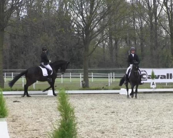 Greven Bockholt 2015