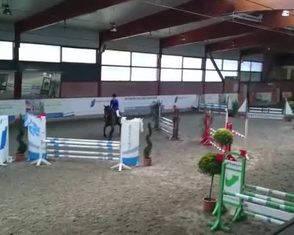 Video of Casconda R
