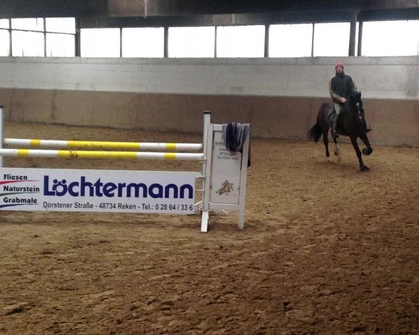 Video of Alehandro