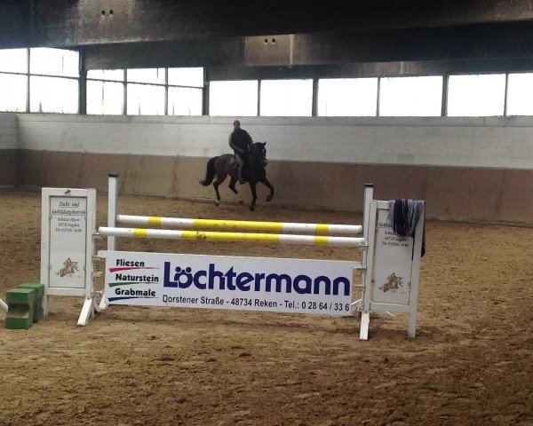 Video of Alehandro