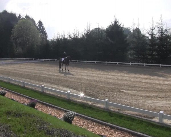 Dressur- und Springturnier Halver 2015