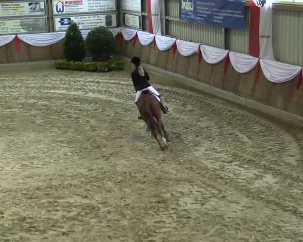 Spring-Event Goch 2015