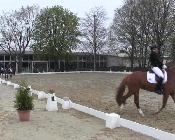 Spenge-Wallenbrück 2015