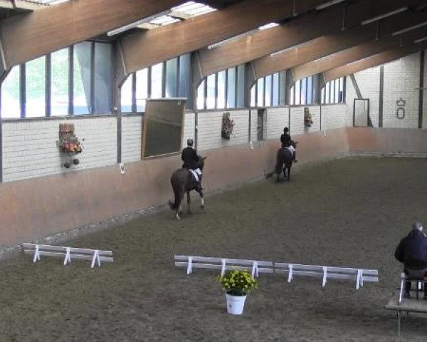 Reit - und Springturnier Hamm-Rhynern 2015