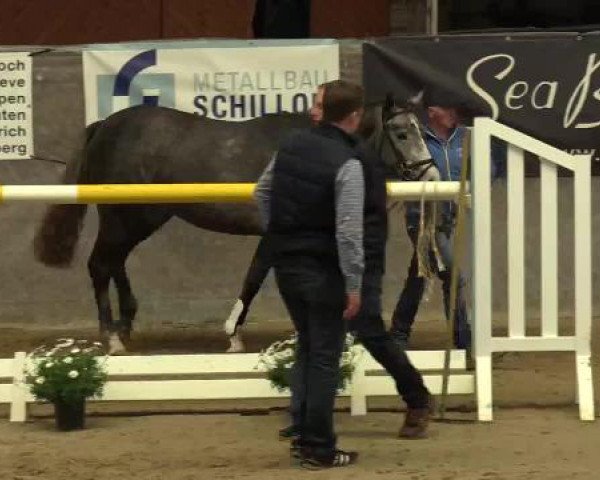 2. NRW Freispringchampionat-Finale Uedem Keppeln
19.04.2015
3-jährige Springpferde