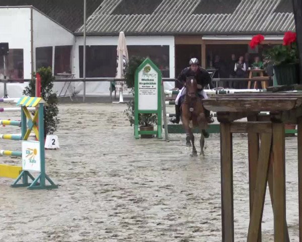 Reitturnier Xanten - Moermter 2015