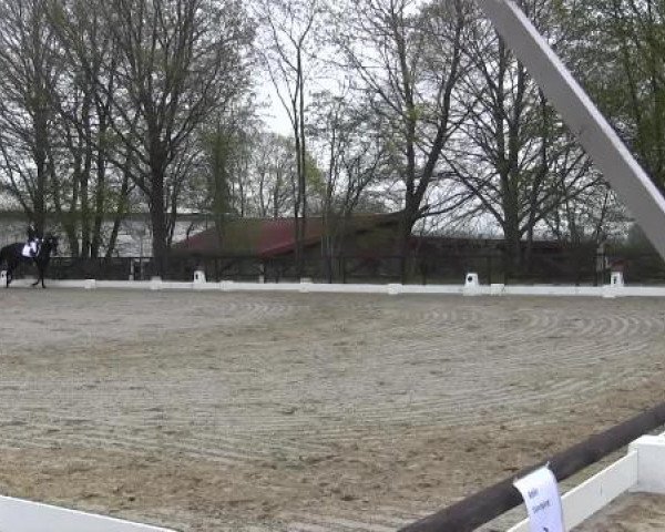 Spenge-Wallenbrück 2015