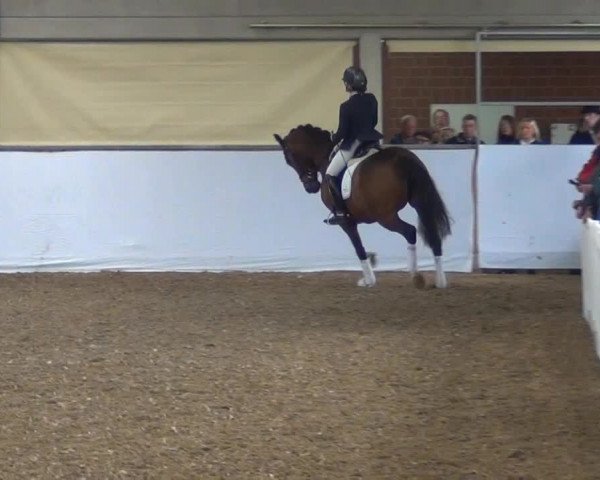 Video of Diatana 3