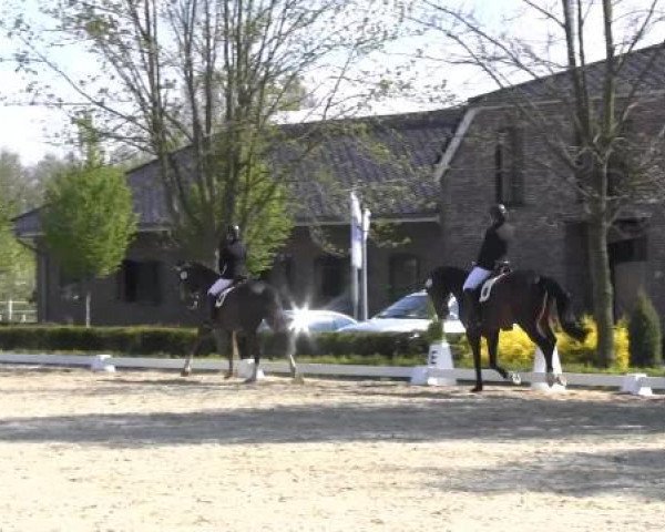 Greven Bockholt 2015