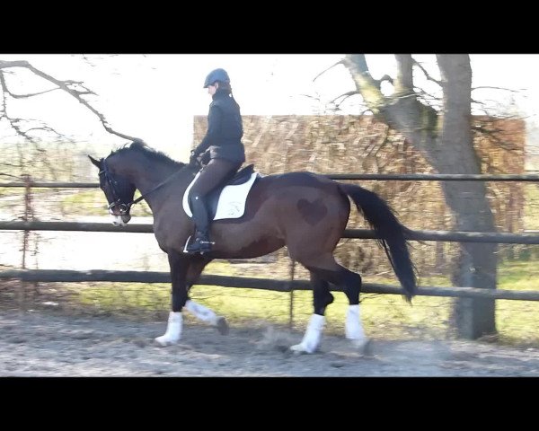 Video of Caipi R.