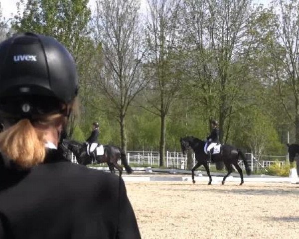 Greven Bockholt 2015