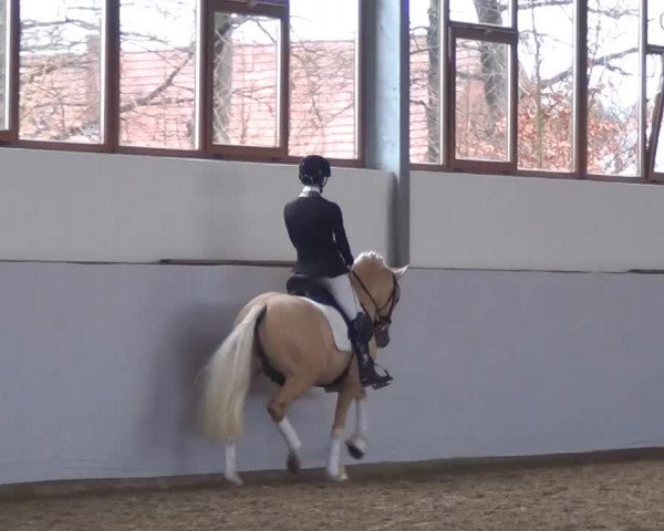 Video von Dating AT NRW