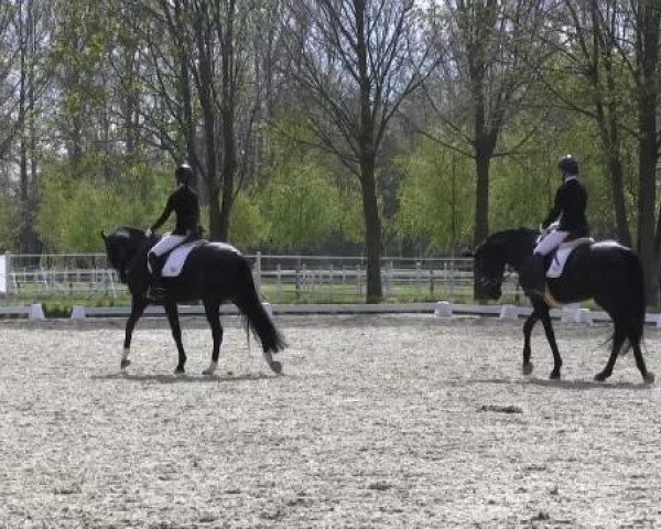 Greven Bockholt 2015