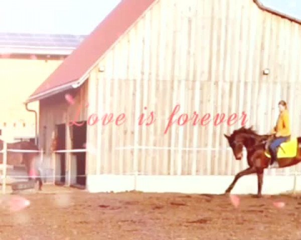 Video of Silvana