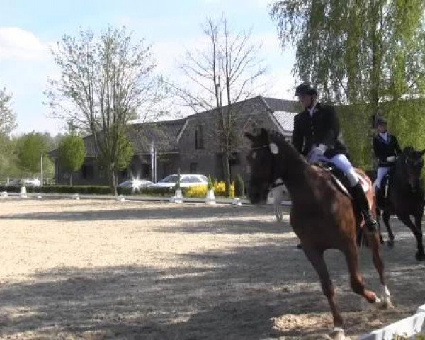 Greven Bockholt 2015