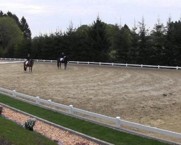 Dressur- und Springturnier Halver 2015