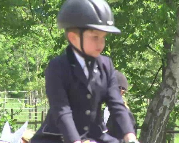 2. Festival des jungen Dressurpferdes Wilferdingen 2015