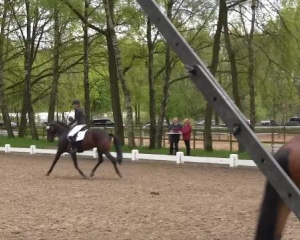Großes Reit- und Springturnier Heiden 2015