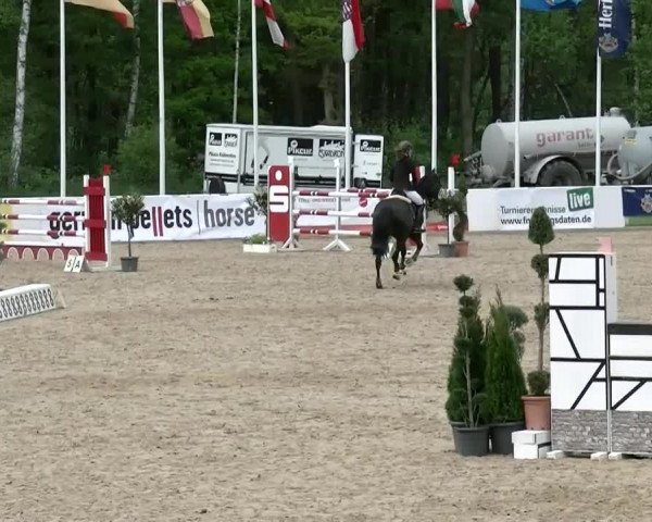 Reitturnier Warendorf 2015