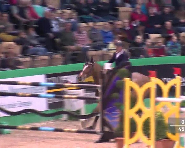 Video of Bien Aimee de la Lionne