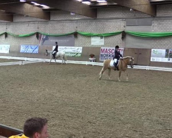 Hallenturnier Leverkusen-Rheindorf 2015
