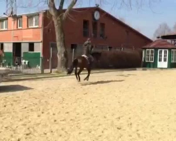 Video von Franka