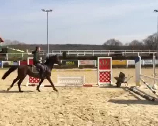 Video von Franka