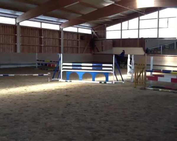Video von Corinna 116