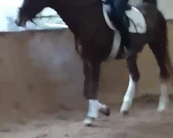 Video von Ciliano