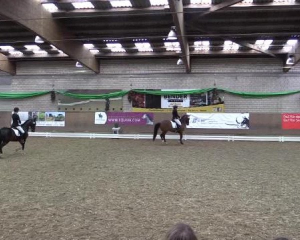 Hallenturnier Leverkusen-Rheindorf 2015