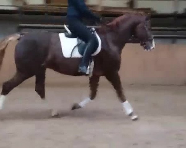 Video von Ciliano