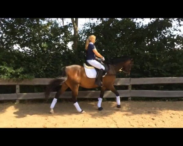 Video von Sir Sunset