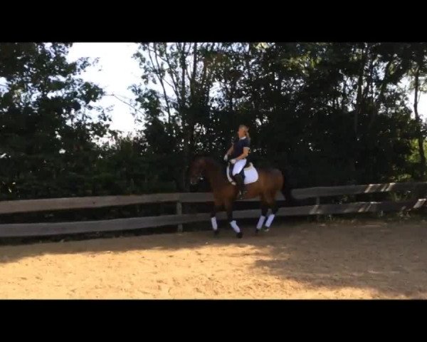 Video von Sir Sunset