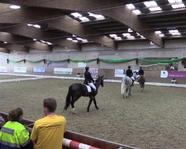 Hallenturnier Leverkusen-Rheindorf 2015