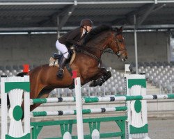 broodmare Lille Hopp (Westphalian, 2004, from Larius W)